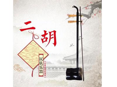 招聘楚雄二胡家教老师